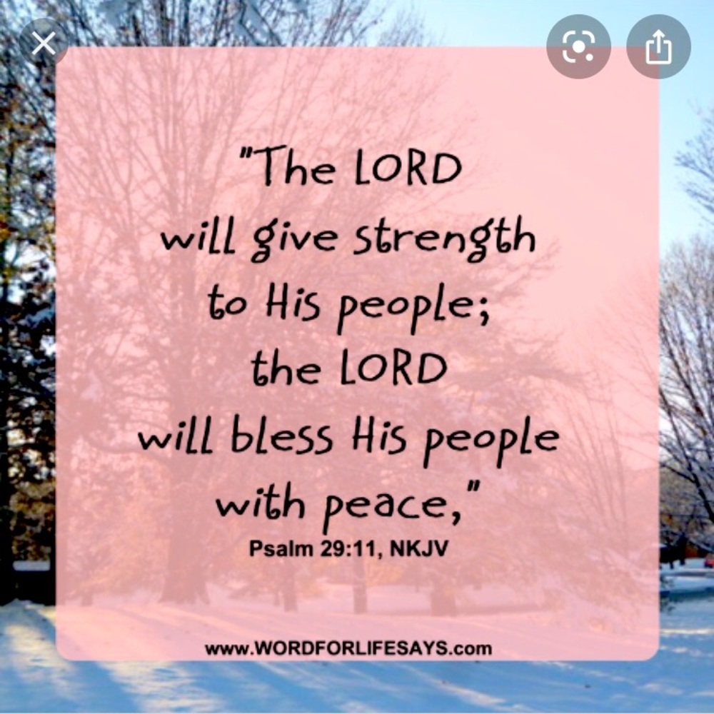 🌸The Lord is my strengths🌸